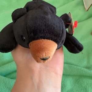 Black Plush Bear Toy